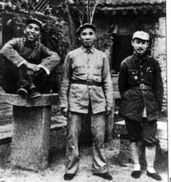 学学鸭子浮水 陕西省统一战线的启示