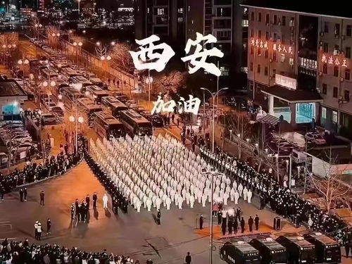 公益传播 古都封城记——陕西省统一战线同心抗疫纪实